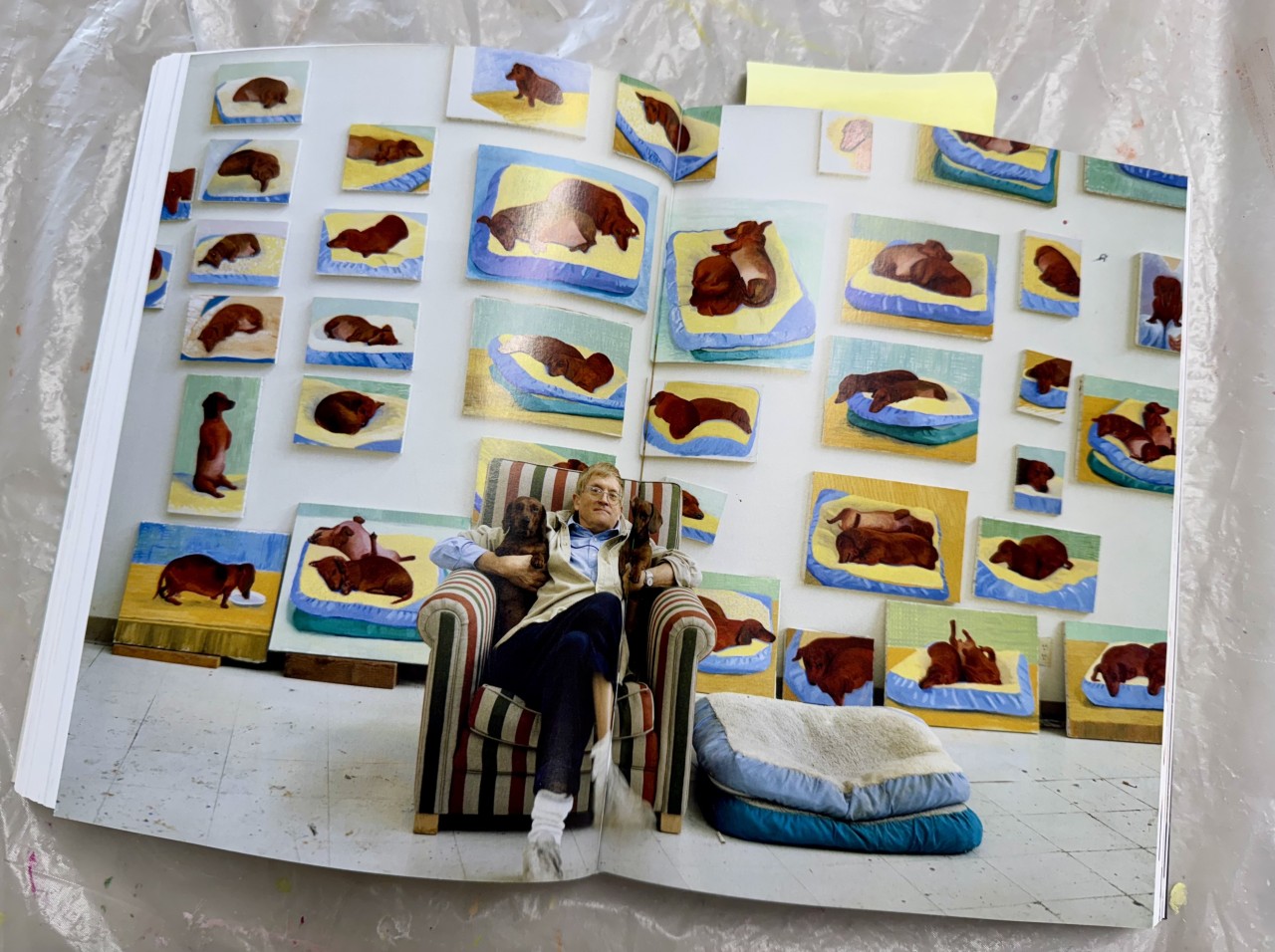 Dog Days paintings by David Hockney